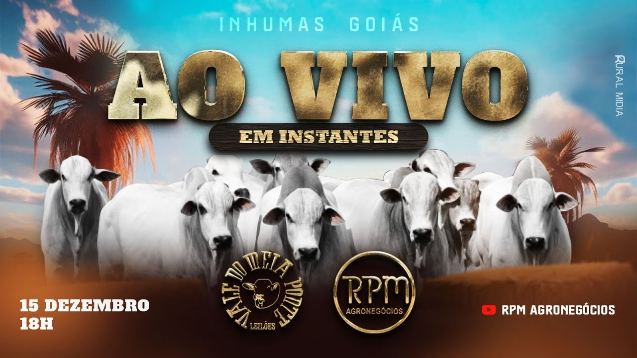 LEILÃO VIRTUAL E PRESENCIAL VALE DO MEIA PONTE LEILÕES - INHUMAS - 15 DE DEZEMBRO DE 2025.
