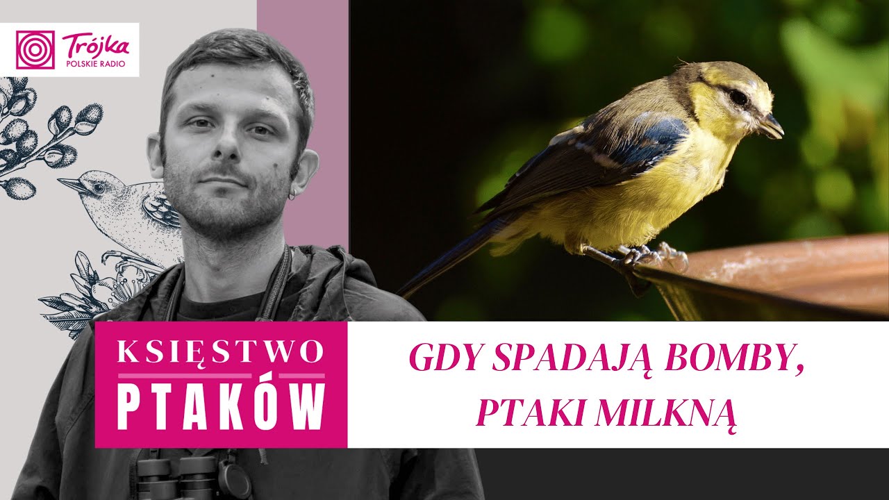 Gdy spadają bomby, a ptaki milkną. Ornitologia w czasie wojny