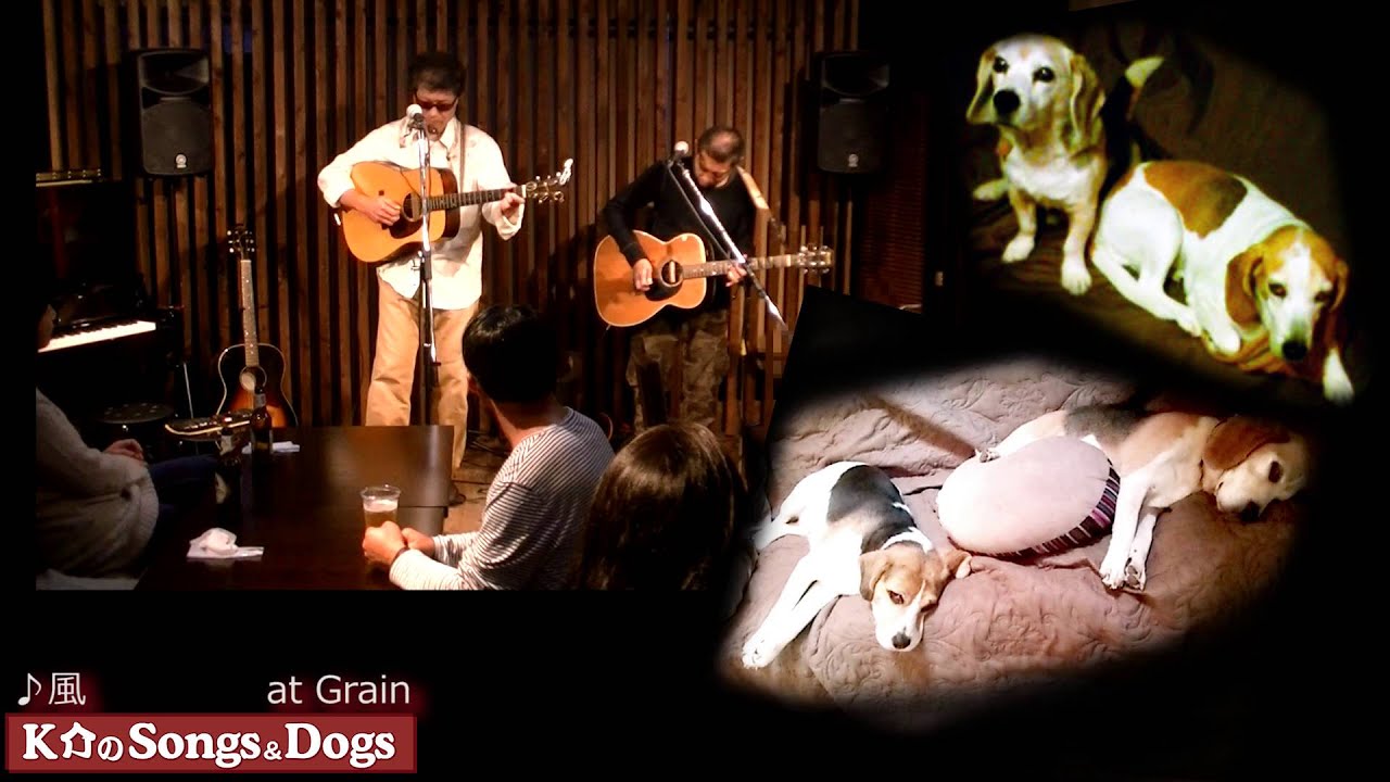 K介のSongs＆Dogs週末はミュージシャン９４