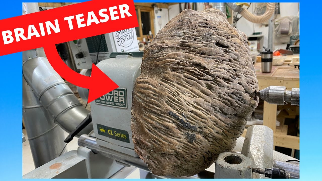 Woodturning - The Brain !!