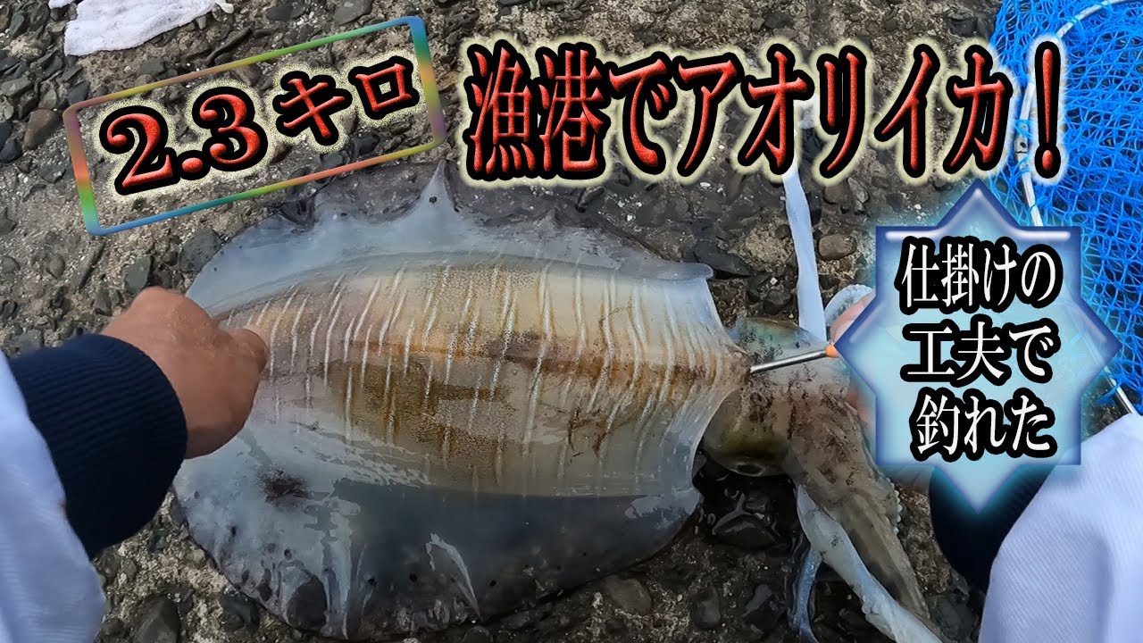 【浮き仕掛け】この仕掛けは最強でした！大物に手が震えました！