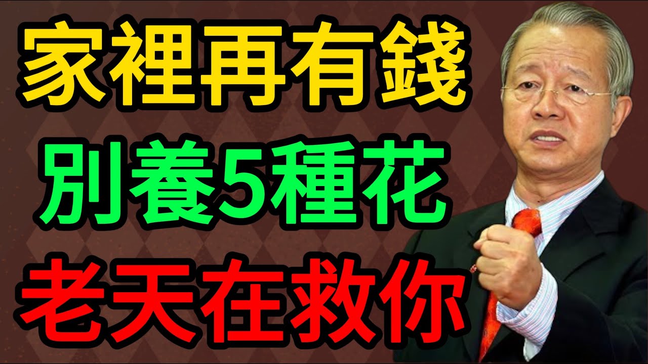 家裡再有錢也別養這5種花！看似吉利其實是「凶兆」，曾仕強：這是老天在救你！#曾仕強 #易經 #國學 #正能量 #家居風水 #財運 #養花禁忌 #人生智慧 #家運 #風水大忌 #2026運勢