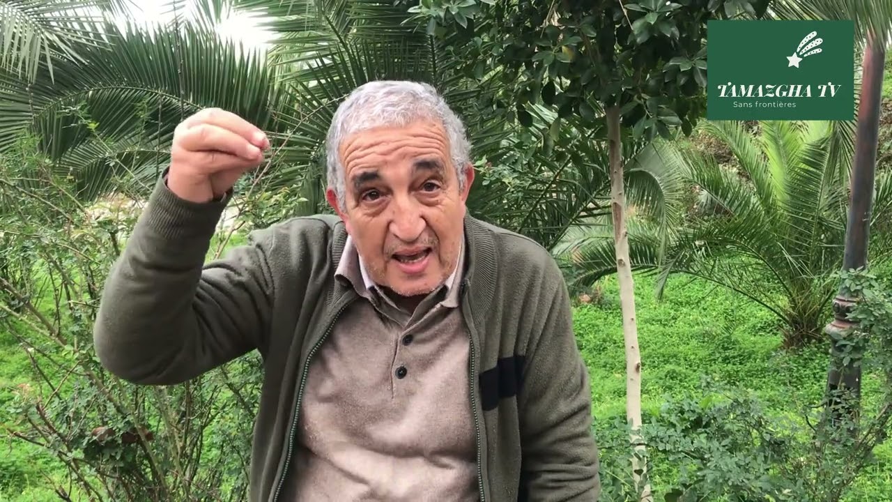 Hacene Halouane : L'identité amazighe