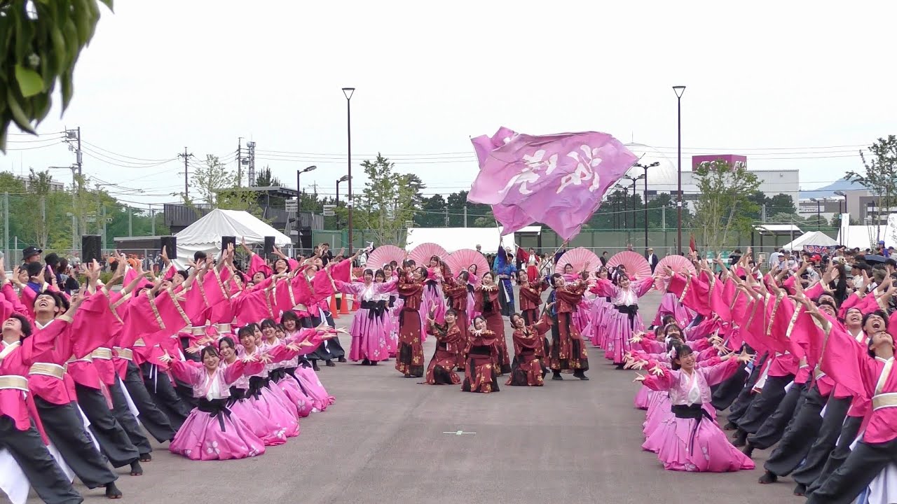 [4K] 常笑【新演舞お披露目】｜桜Live（第34回 豊川市民祭り おいでん祭 2025/芝生パレード広場会場）