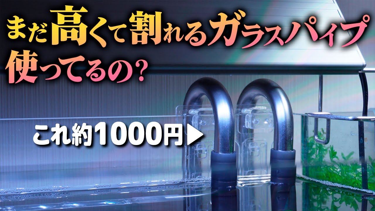 1本1,000円。外部フィルターのパイプは安い、割れない、かっこいい、掃除がしやすいステンレスパイプがいい #アクアリウム #レビュー 【ビバアクア】