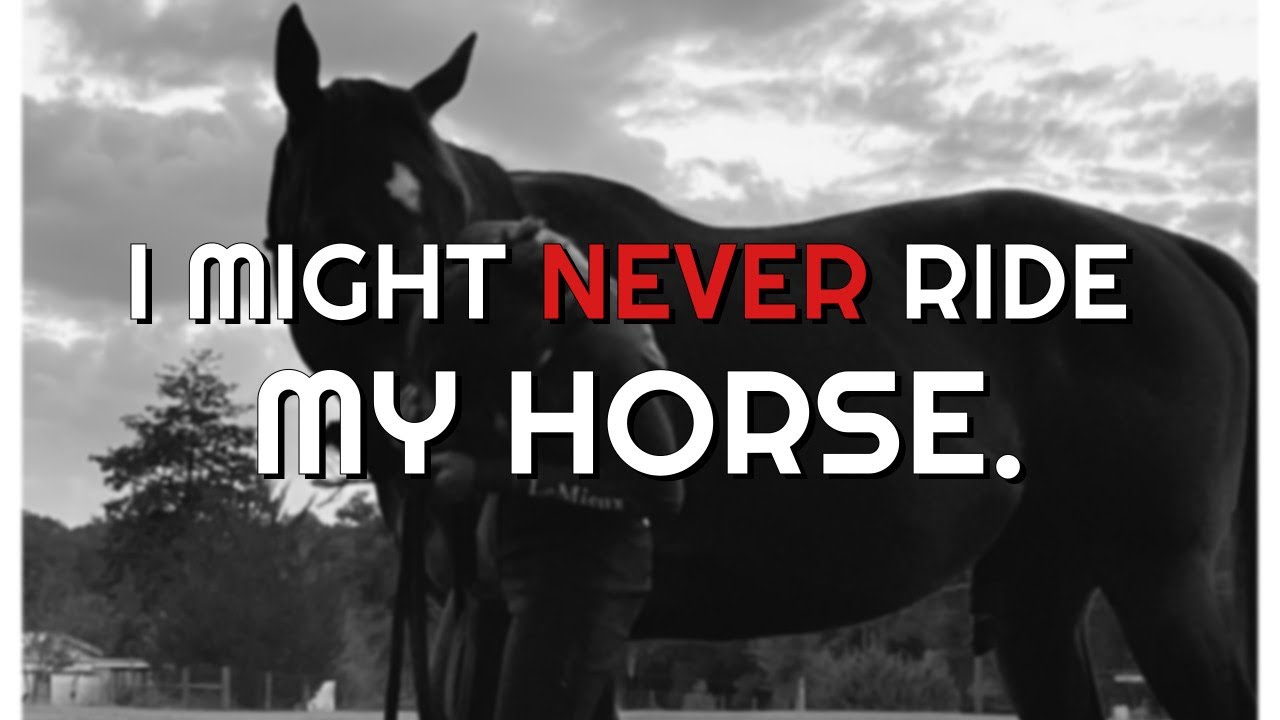 I might not ever ride my horse...