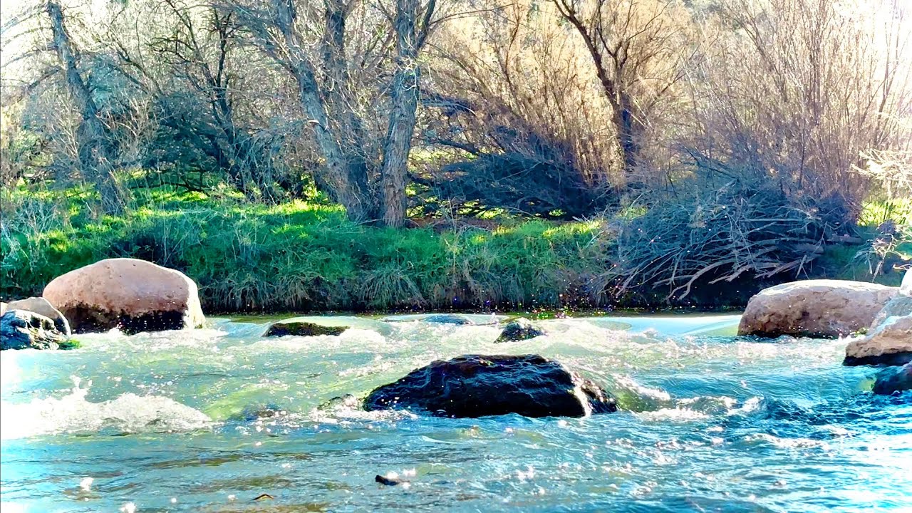 Babbling Brook 🌊 🪨