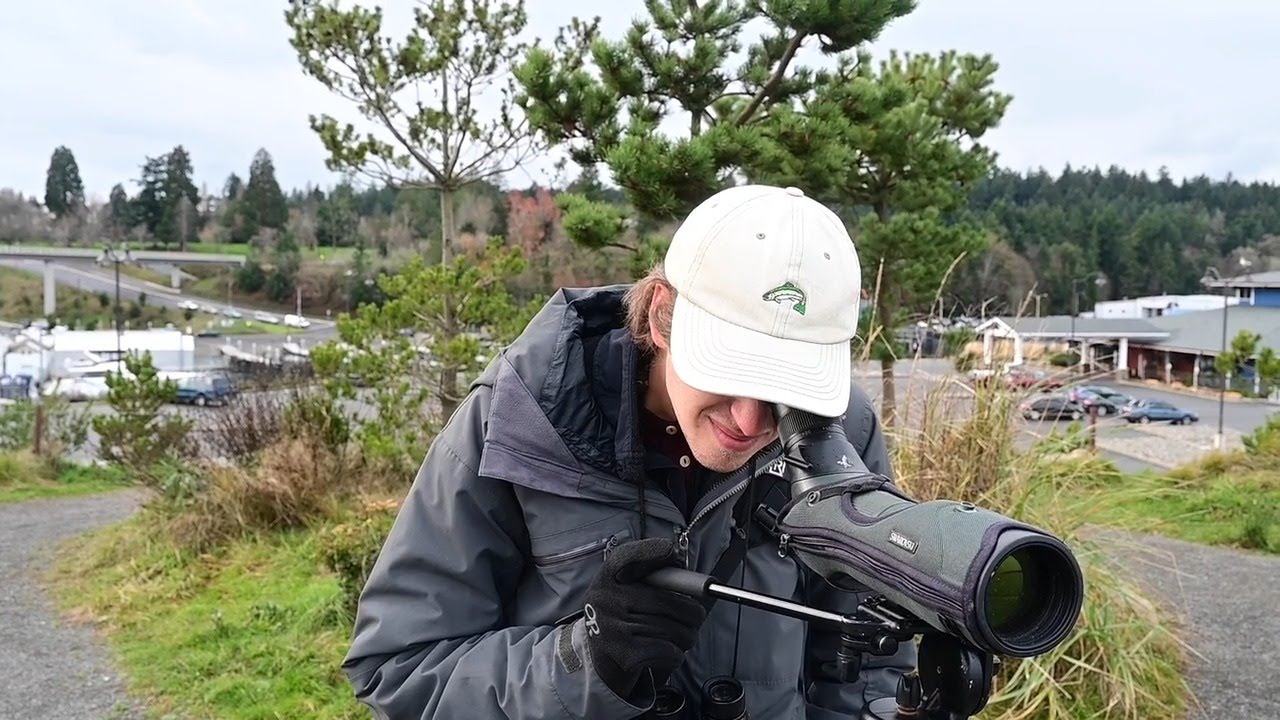 Watch How A Local Birder Set A Washington-State Record For Birds Seen In A Year