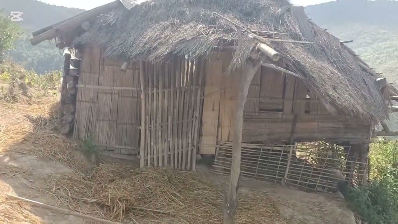 Nco kuv daim qub teb npleg kawg li os.