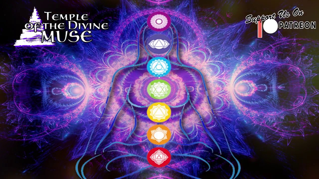 Evolutionary Music | ShapeshifterDNA