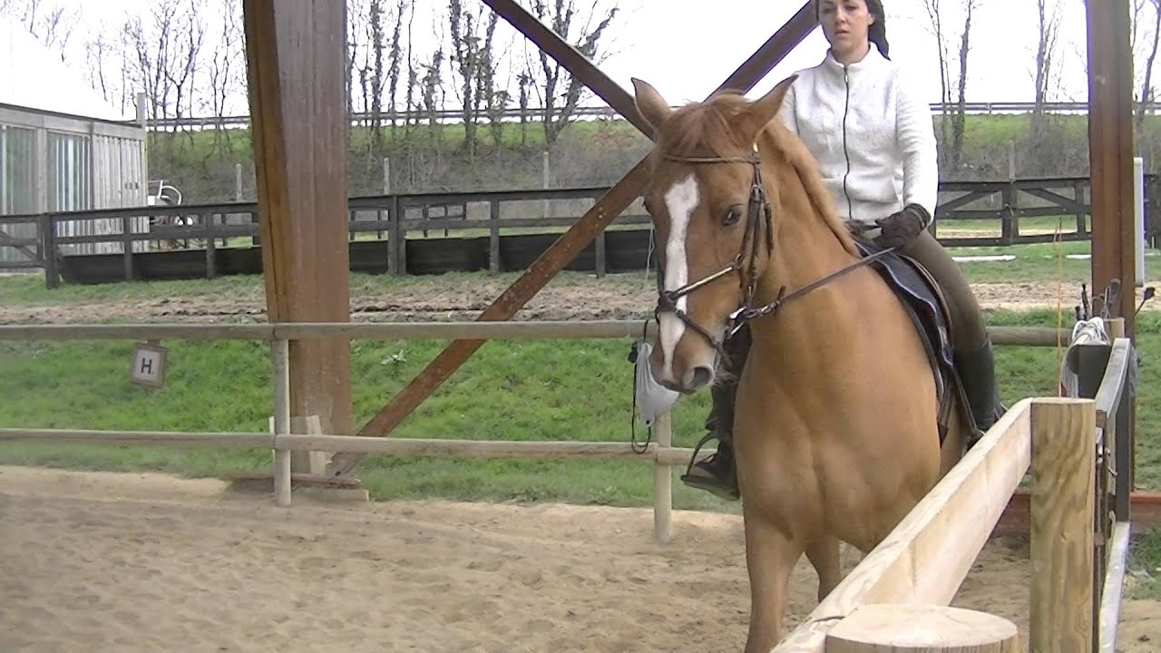 Reprise galop 7