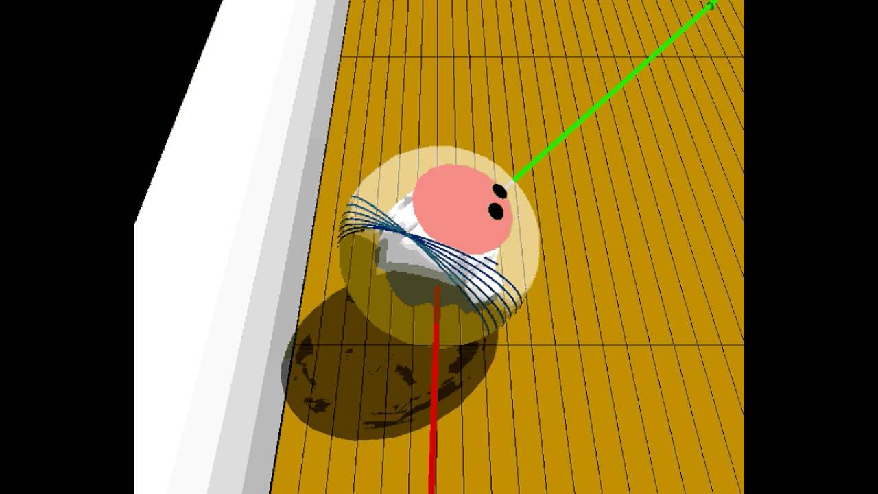 A Bowling Ball Core in Motion