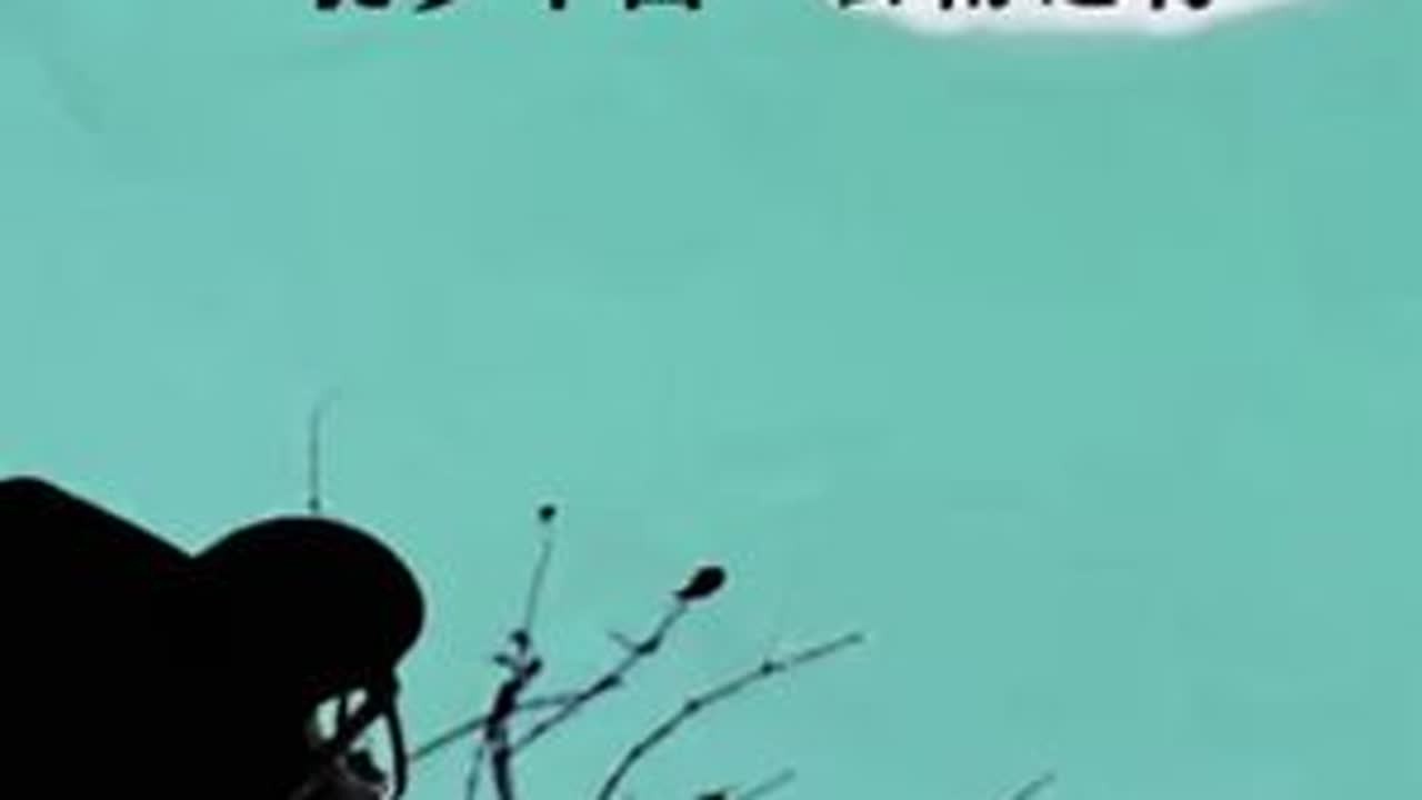 第309日，「风月无边」· 风起大理月上苍山观自在，音出海浪光影变幻心无边。#徒步环旅中国 #大美中国 #云南之行 #大理白族自治州 #公度云游录