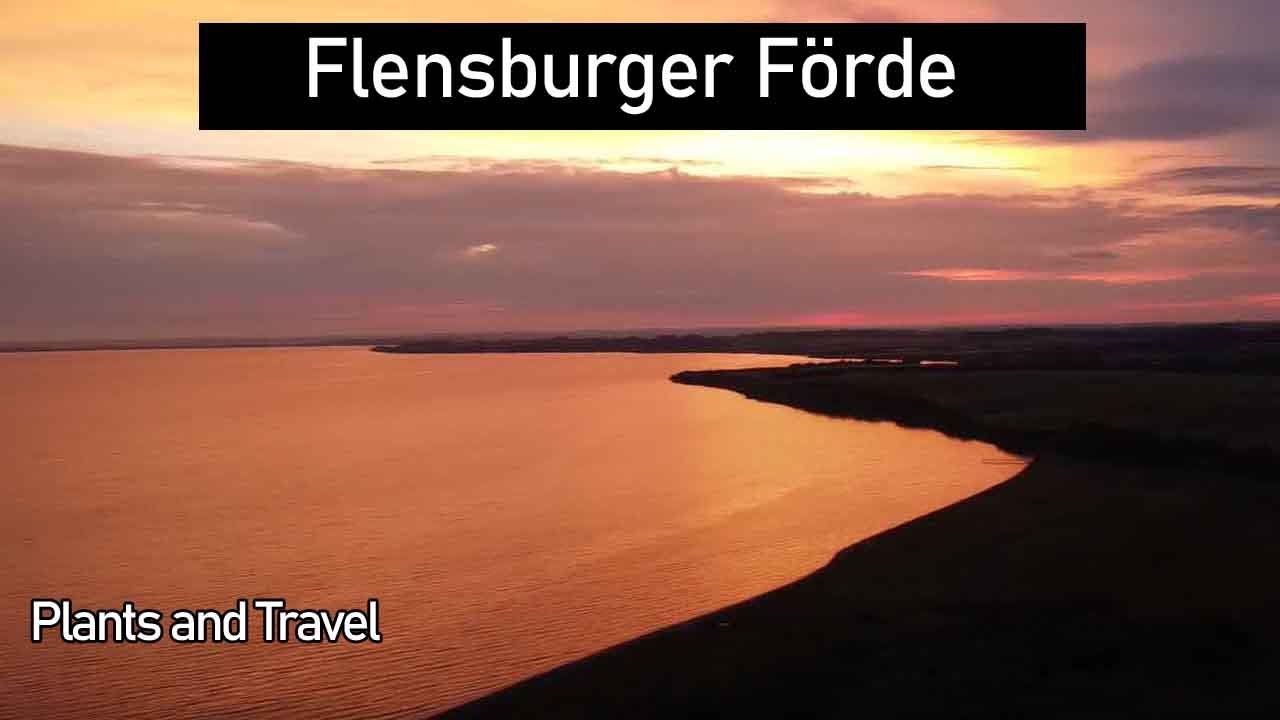 Mit dem Wohnmobil nach Dänemark, Flensburger Förde, Als Förde und eine Geisterbegegnung