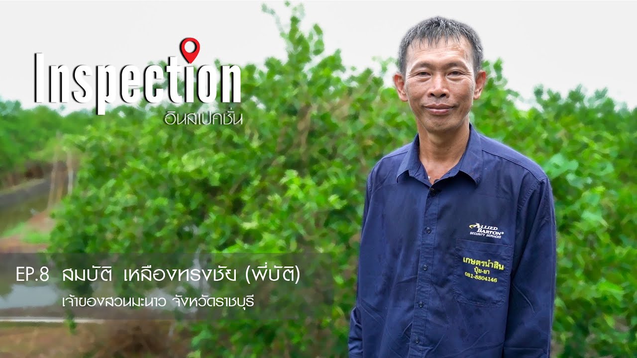 สวนมะนาว เงินล้าน? กับ สมบัติ เหลืองทรงชัย (พี่บัติ) | Inspection EP.8