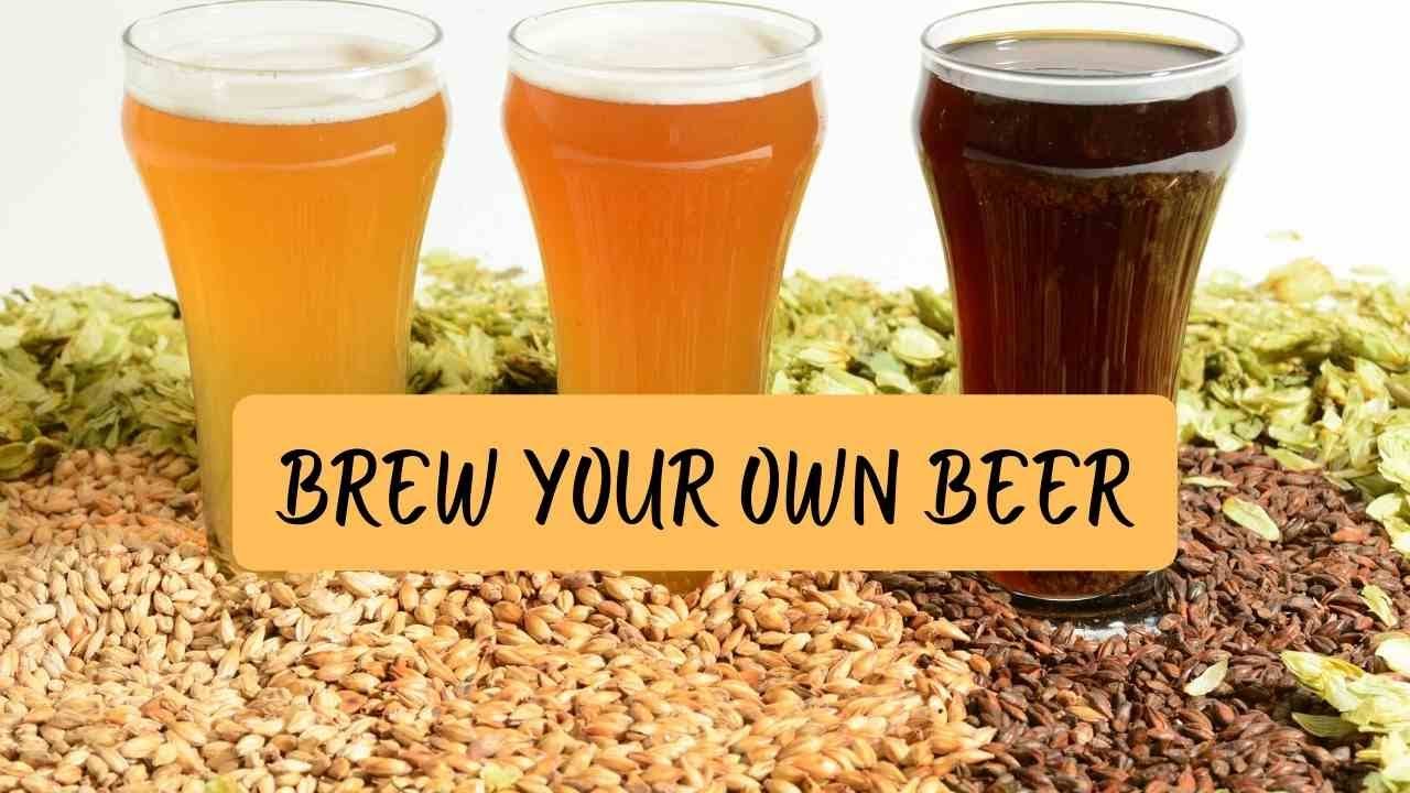 Beer Brewing Basics | Brewing with Buddy