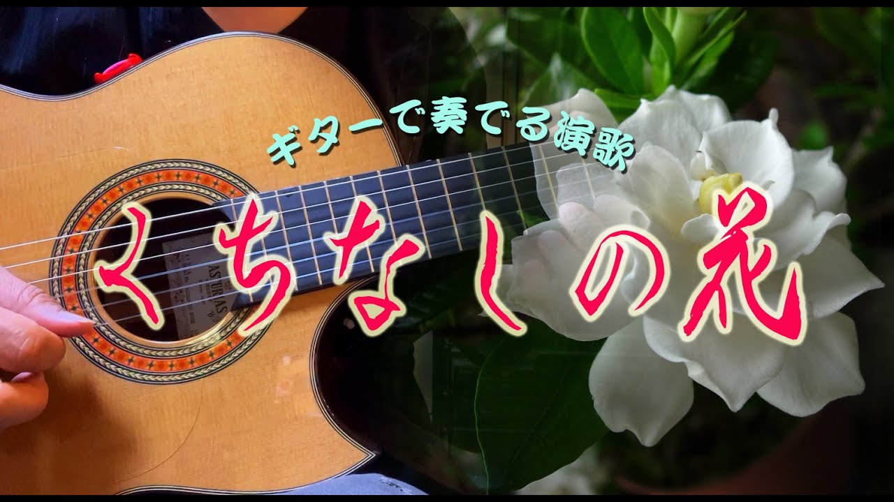 くちなしの花/渡哲也（ギターカラオケ）