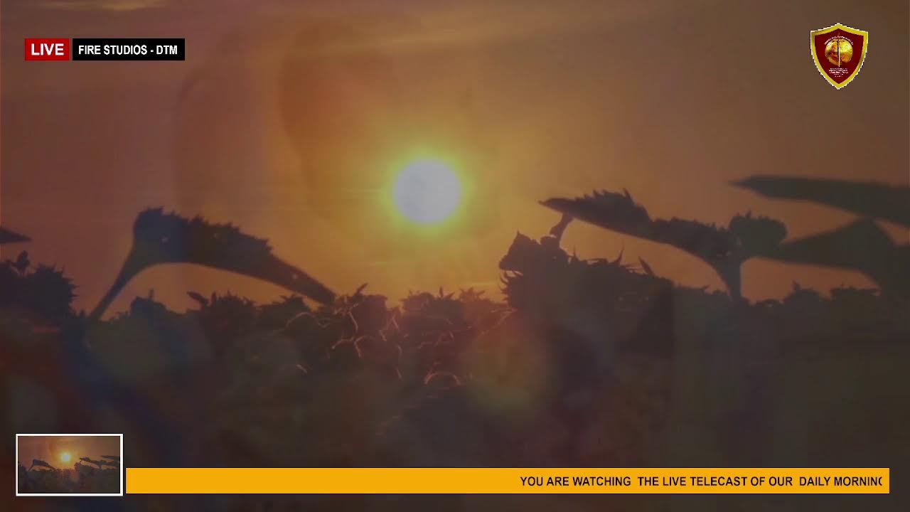 PROPHET PAUL GYAMPO LIVE  || EARLY RISE || 3RD MARCH, 2026