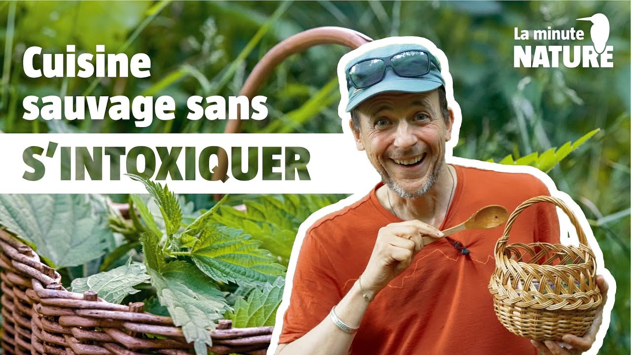 5 r&egrave;gles d'or pour manger des plantes sauvages (No 400)