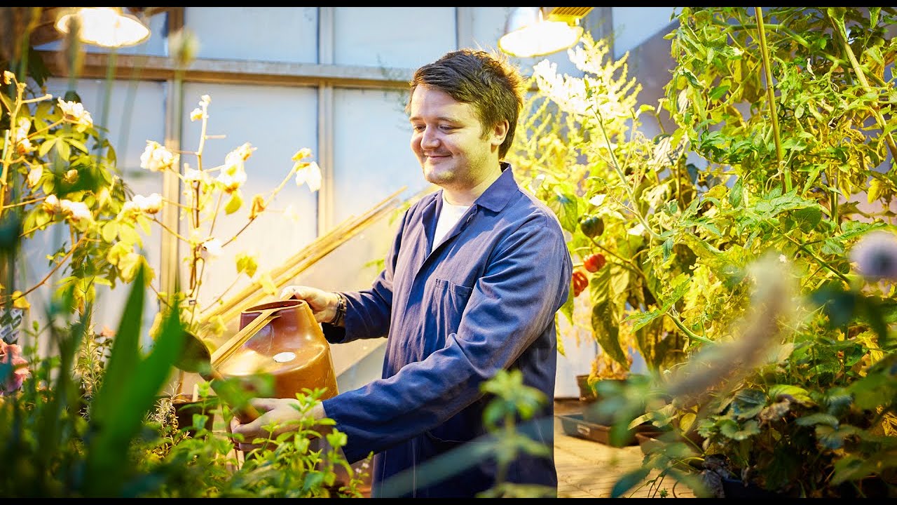 Plant Science Research at the University of Leeds | Faculty of Biological Sciences
