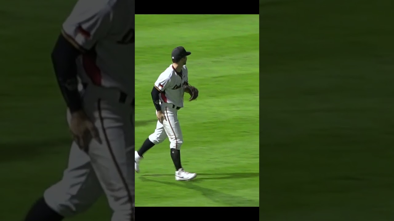 (Kind of) Diving Catch Alex Schmidt 