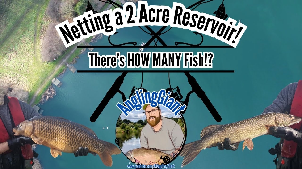 Electrofishing & Netting a UK Fishery &ndash; The Results Are Shocking!