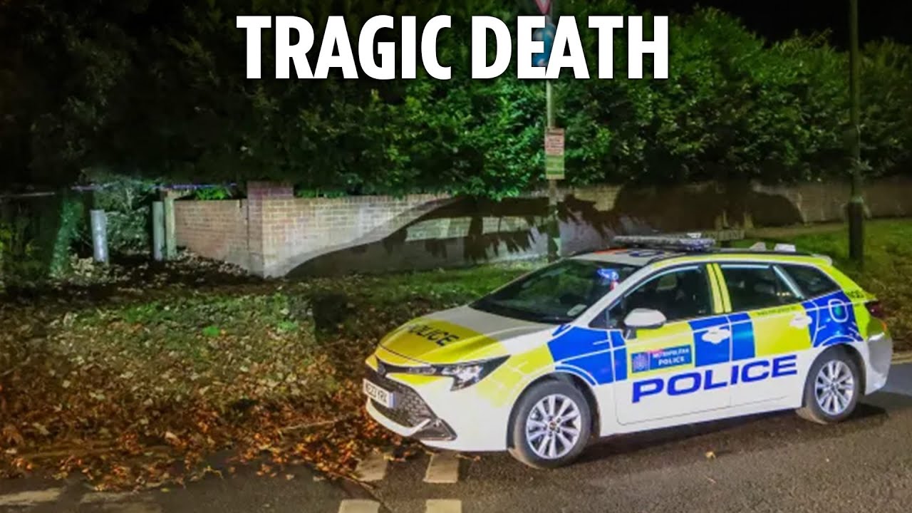 Horror as child dies after being struck by falling tree branch as cops launch probe into tragedy