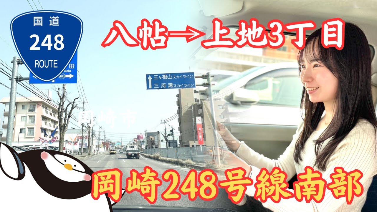 【愛知県岡崎市】国道248号線沿いをドライブ！飲食店数はいくつ！？(南部編)