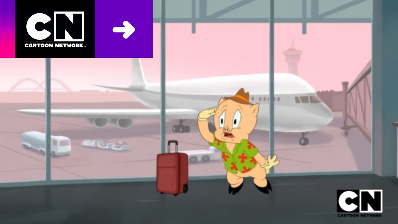 PATO DE APOYO EMOCIONAL | LOONEY TUNES CARTOONS | CARTOON NETWORK