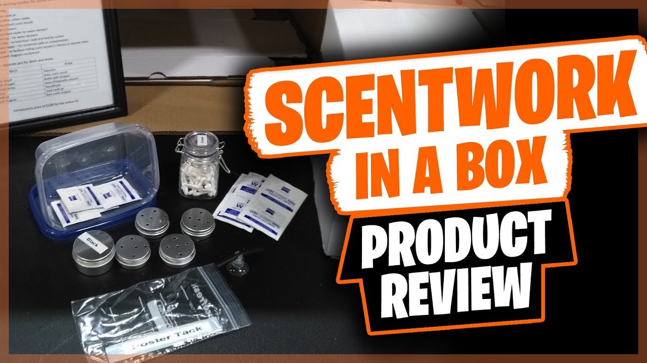 Product Review Scentwork In a Box