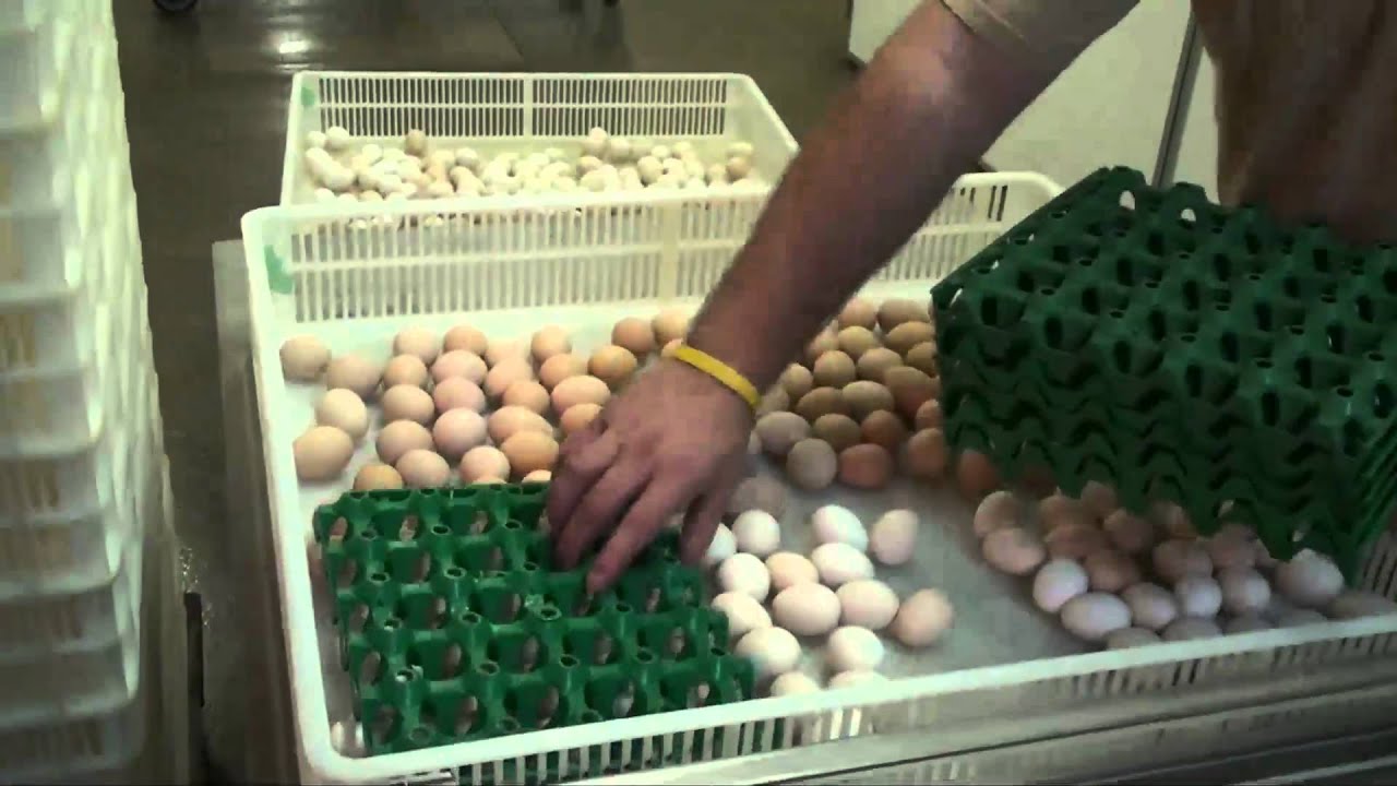 Tour Murray McMurray Hatchery