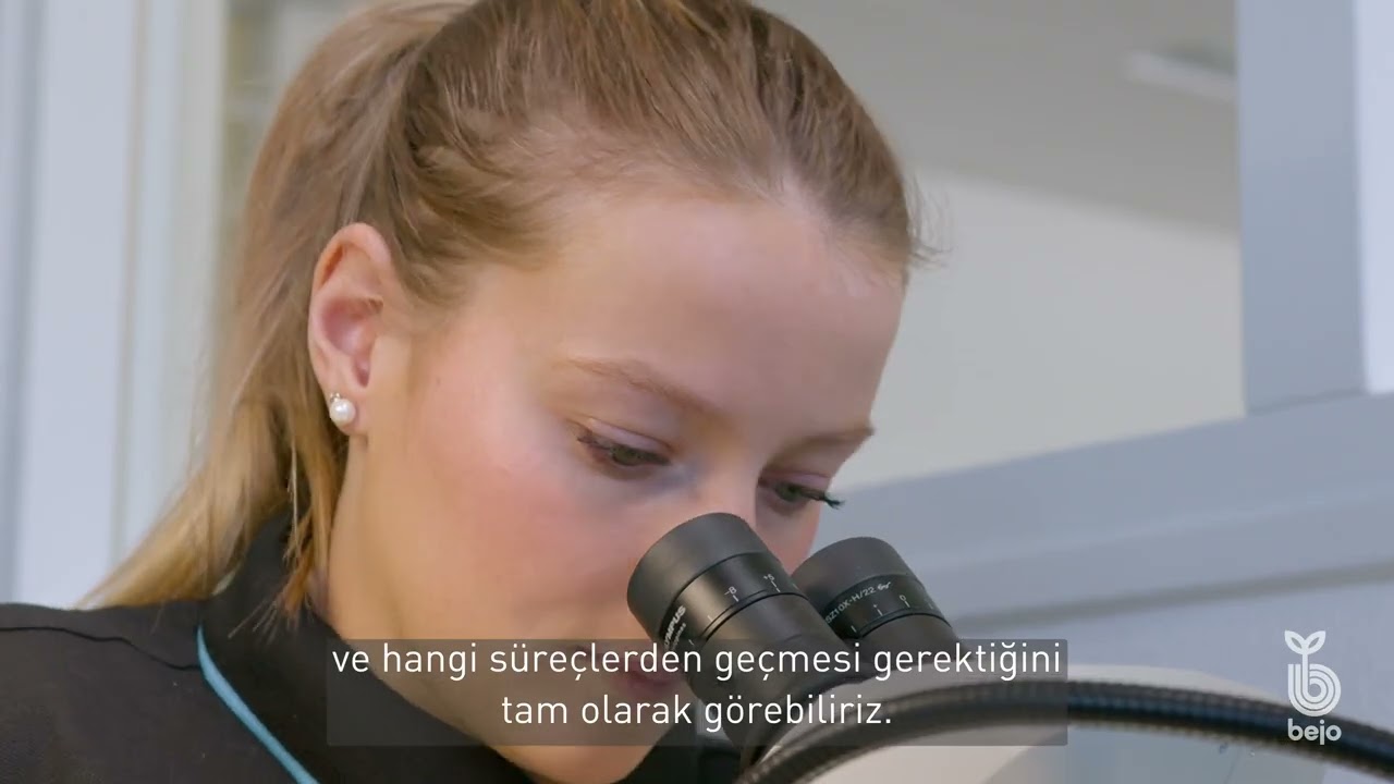 BEJO | Seed Quality Tour - [EN-TR]