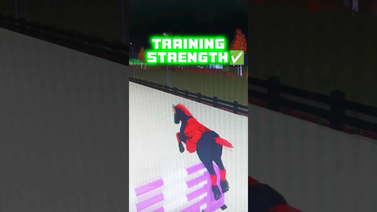 POV : What You Prefer Training In Horse Valley Roblox #roblox #horsevalley #equestrian #workout #fyp