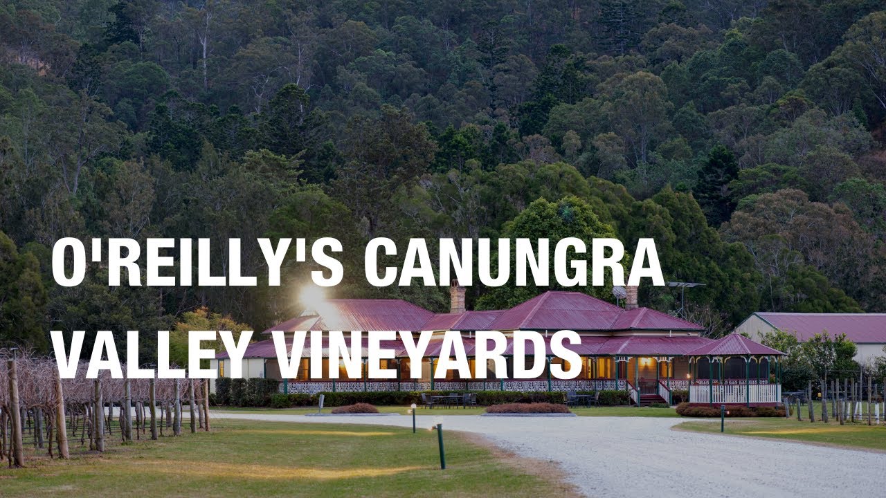 O'Reilly's Canungra Valley Vineyards 🍷