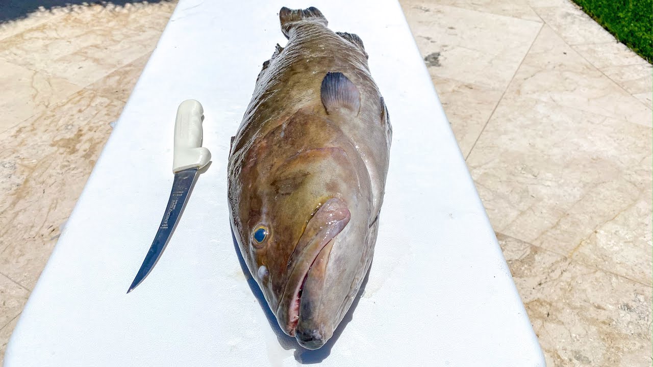 BEST Way to Fillet Gag Grouper