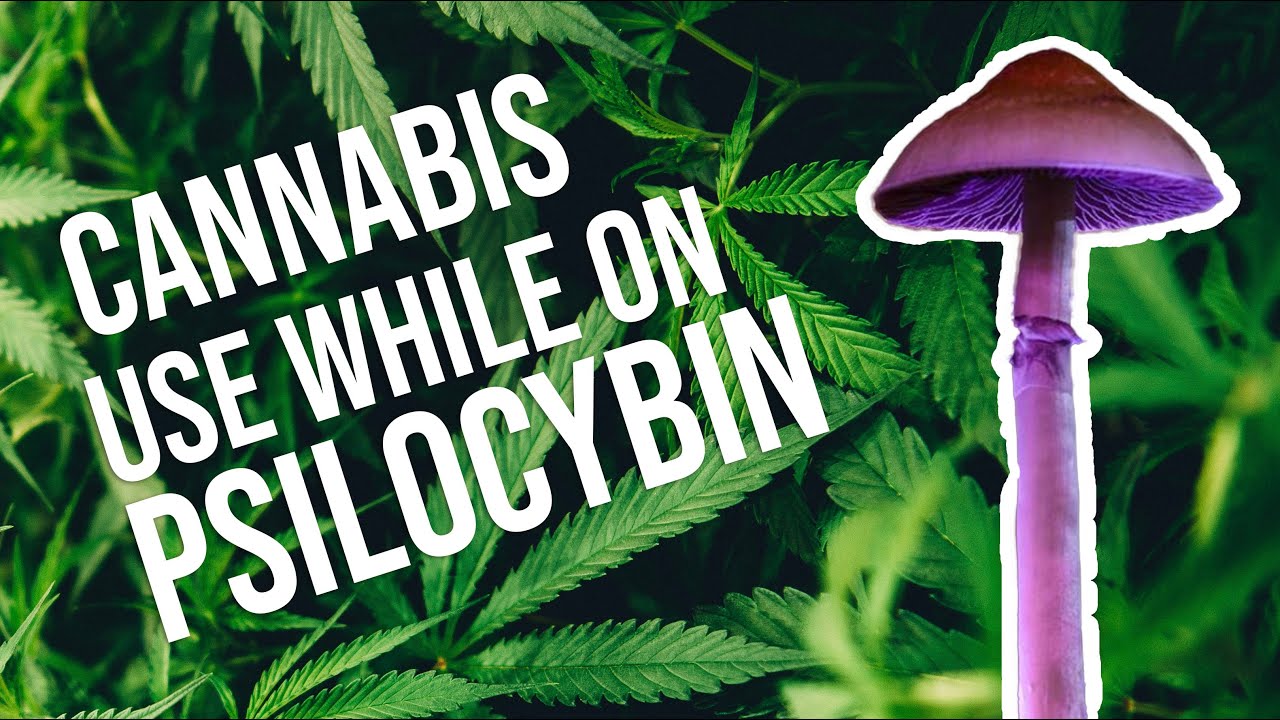 Smoking cannabis on Psylocibin?