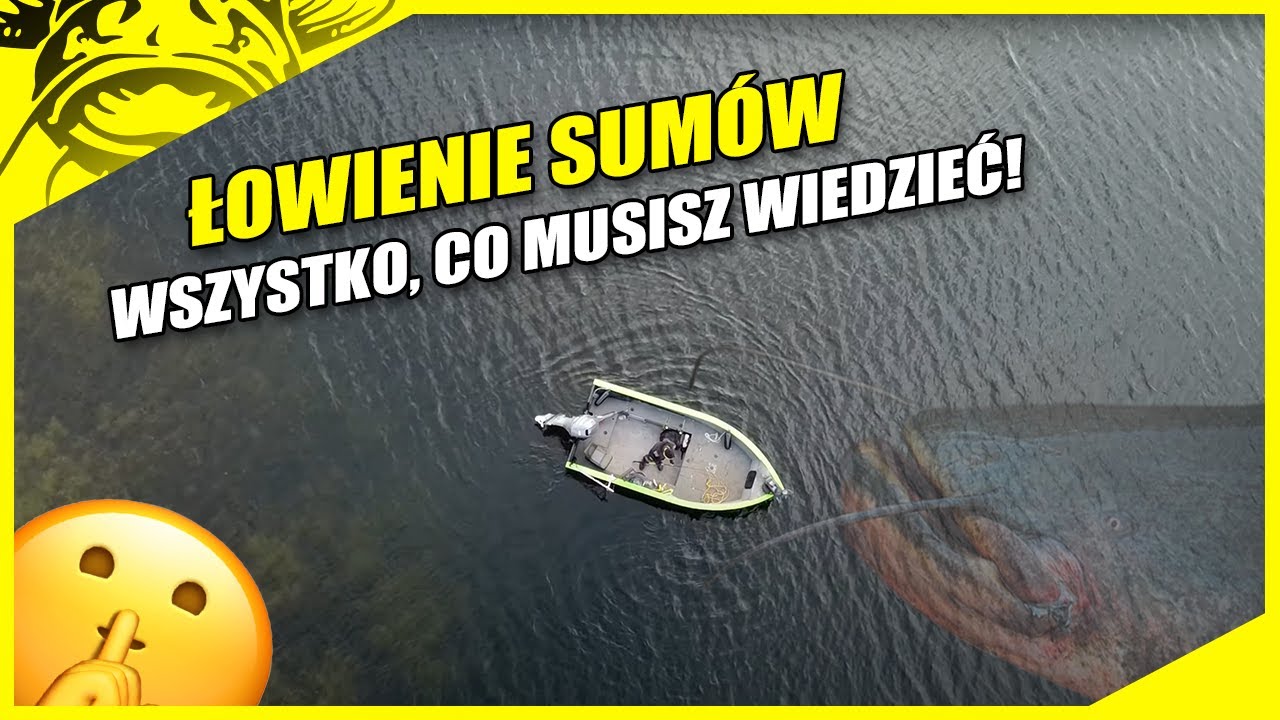 Tak zacząć łowić sumy | Wszystko ujawnione | wędkarstwo sumowe w Polsce