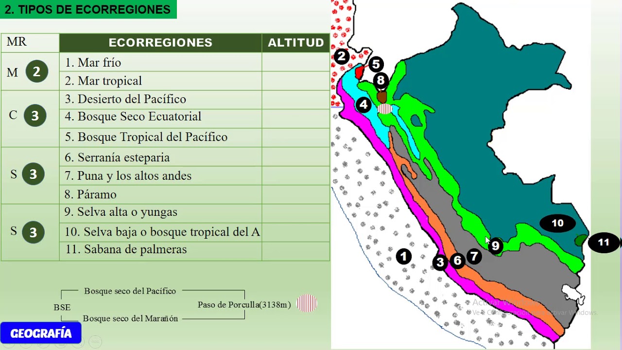 LAS 11 ECORREGIONES