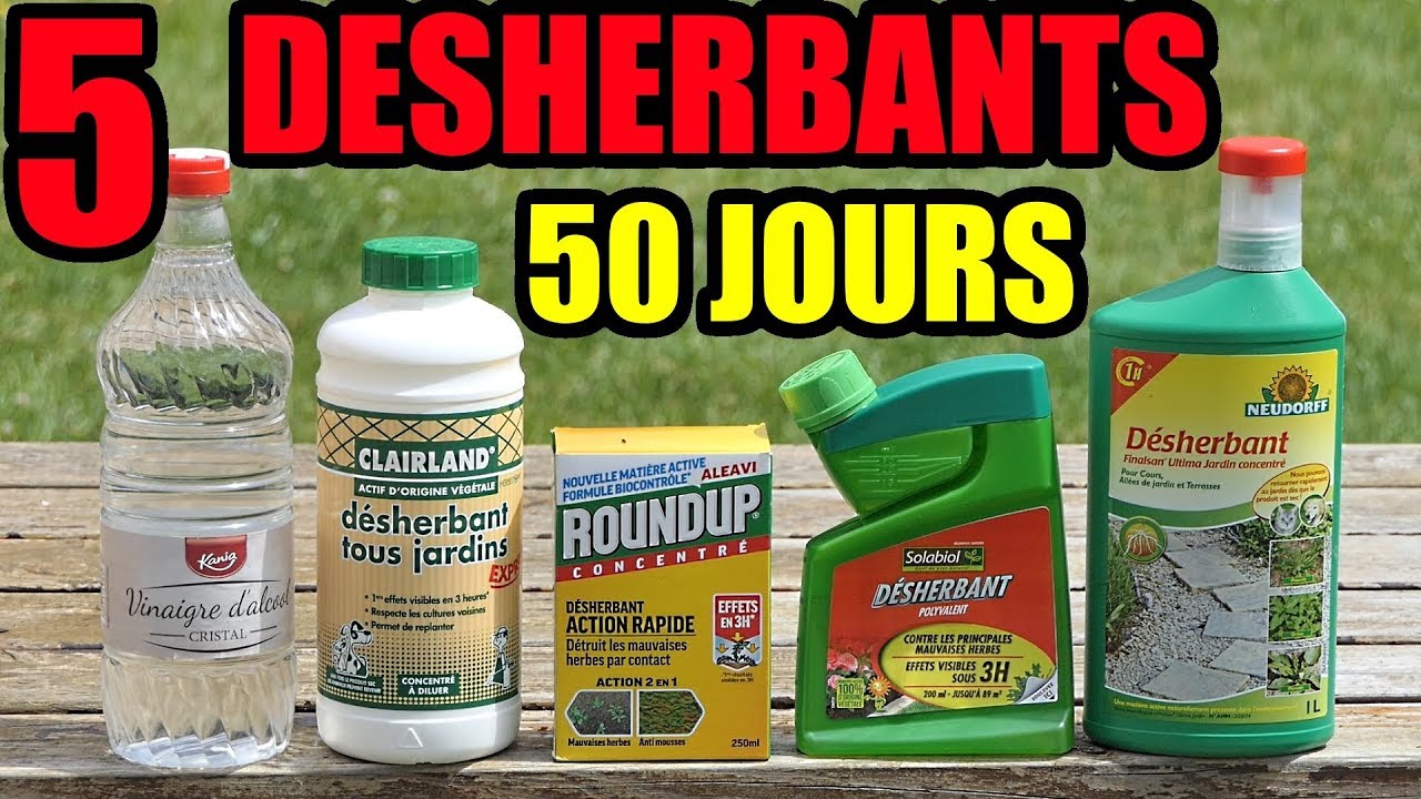 5 DESHERBANTS TEST VINAIGRE BLANC LIDL ROUNDUP SOLABIOL CLAIRLAND NEUDORFF GROS SEL