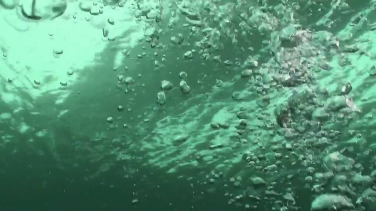 Neue Donau neu (HD)