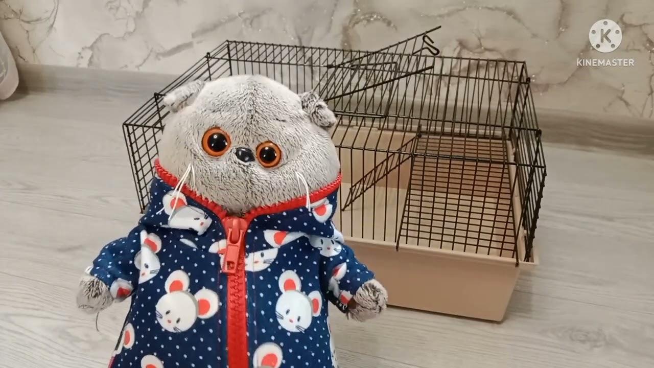 У нас появился питомец!!!😱/ кто это?/ обустраиваем ему домик🏠