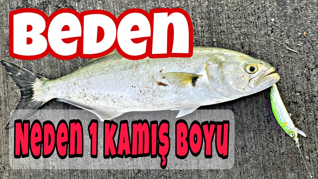 Kurşun Arkası Maket Balık ( Rapala ) Kaşık bedeni nasıl olmalı ? Neden 1 kamış boyu yapılır ?