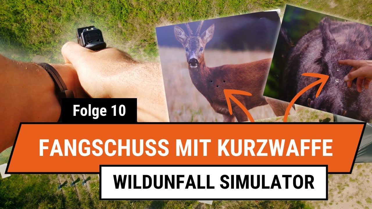 Fangschuss mit der Kurzwaffe im Wildunfall Simulator | Folge 10 - Long Range