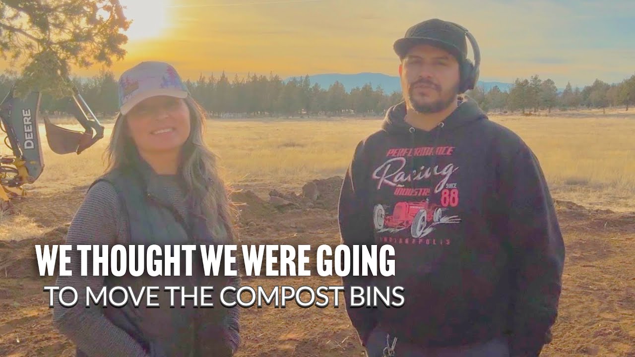 Эпизод 4, 2026 | Январь, а это значит, пора готовиться к расширению сада!