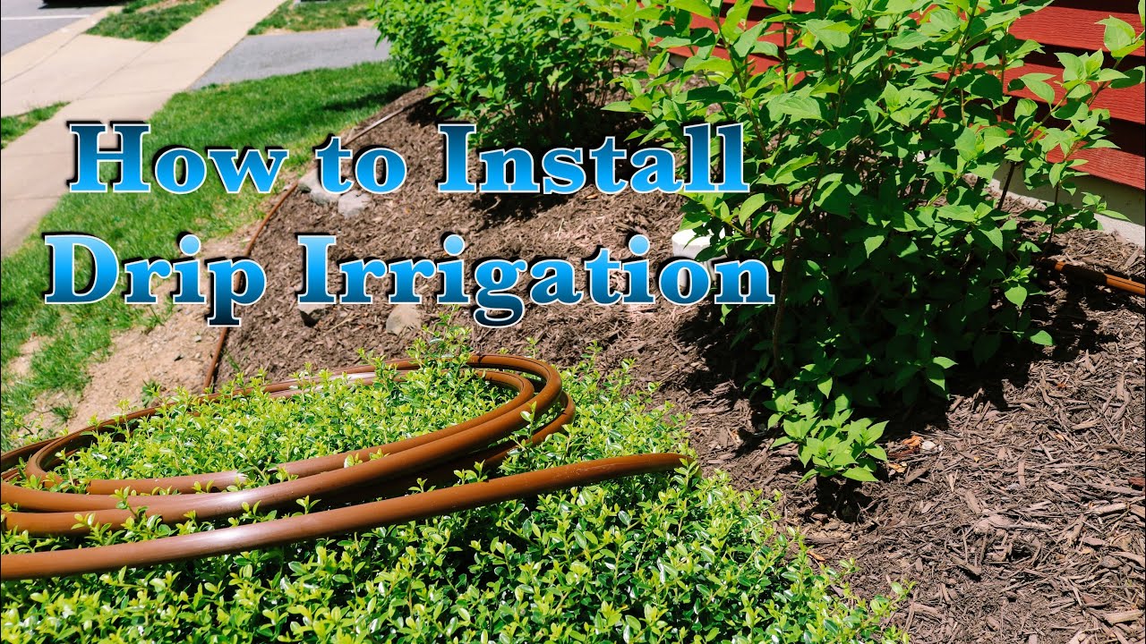 How to Install Drip Irrigation System