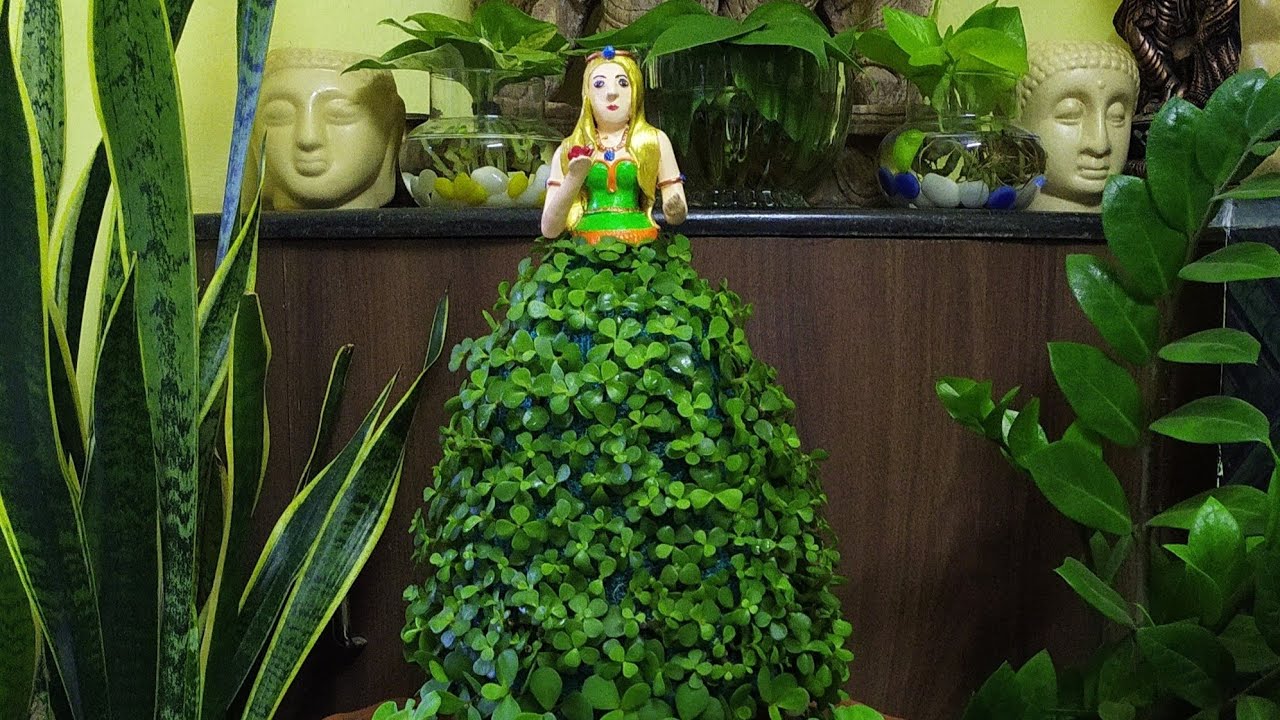 Jade plant topiary | Eco friendly doll | Home decoration ideas | Creative gardening ideas