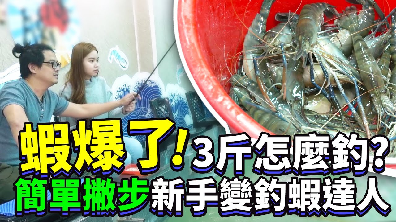 蝦爆了！3斤怎麼釣？簡單撇步新手變釣蝦達人｜shrimp fishing エビ釣り