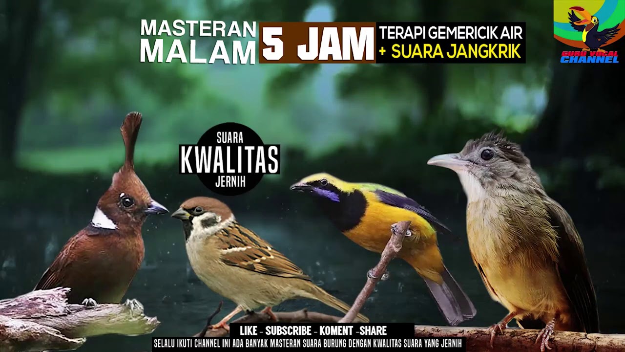 REQUEST MASTERING #13....DURASI 5 JAM..AMBYAAAR MASTERAN MALAM Suara Jernih..JOSS GANDOSS