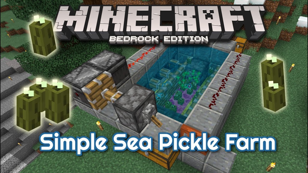 Tutorial: The Pickle Machine - super simple sea pickle farm for Minecraft Bedrock Edition