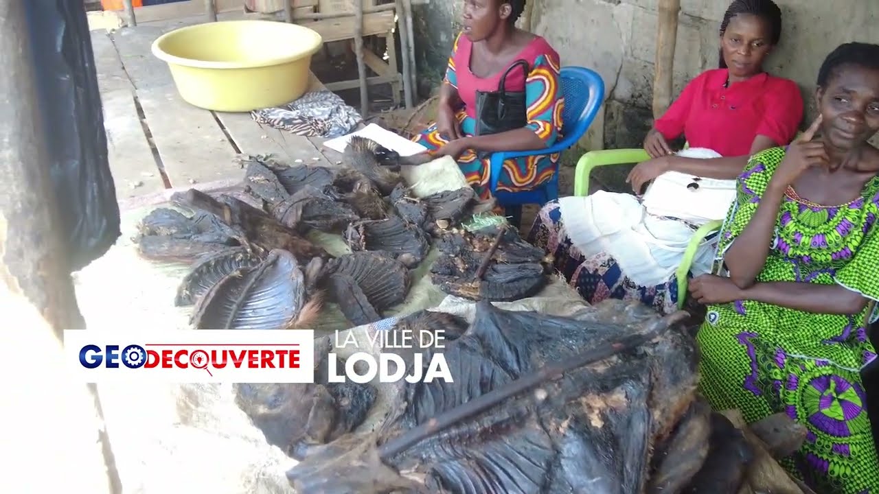 GEODECOUVERTE : La ville de Lodja | Saison 1